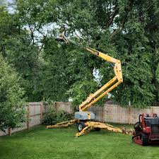 Why Choose Our Tree Removal Services in Valparaiso, IN?